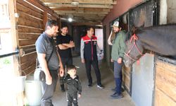 Erzincan’da Tarım Sektörü Birçok Alana Destek Sağlıyor