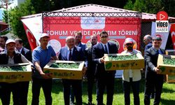 Tarım İL Müdürlüğü Domates Fidesi Dağıttı