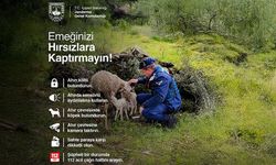 Jandarma’dan Kurban Uyarısı; Emeğinizi Hırsızlara Kaptırmayın