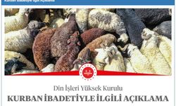 Kurban Kesiminde Dikkat Edilmesi Gereken Hususlar