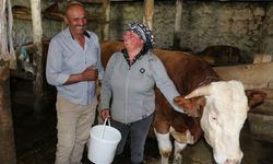 Gürcistanlı Nino, Erzincan Çiftçiliğine Renk Katıyor