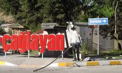 Çağlayan Beldesinde Arı Paniği