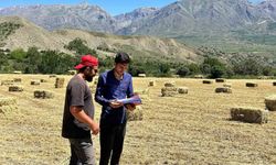 Erzincan genelinde yem bitkisi kontrolleri başladı