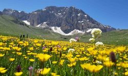 Merg Yaylası, Yerli ve Yabancı Doğaseverlere Ev Sahipli Yapıyor