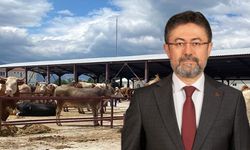 Kurbanlıklar Elde Kalmayacak, ESK Satın Alacak