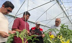 Erzincan’da Pestisit Denetimleri Sıkılaştırıldı