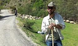 Şiran’da Kenenin Isırdığı Çoban Hayatını Kaybetti