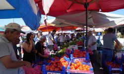 Erzincan Domatesine  Çevre İllerden Yoğun Talep Var