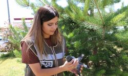 Yaralı Güvercine Polis Şefkati