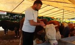 Dikkat! Hayvan Pazarı Kapatıldı