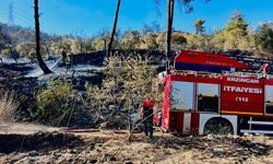 Erzincan İtfaiyesi Hatay’daki Orman Yangınına Müdahale İçin Bölgede