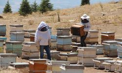Erzincanlı arıcıların "tatlı" hasat telaşı başladı