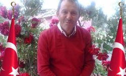 Hayata Tutunamadı