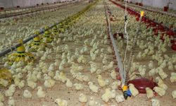 Erzincan’da Birlikten Kuvvet Doğacak
