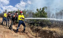 İliç Bağcuğaz Köyünde Orman Yangını