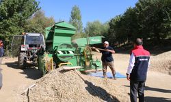 Erzincan’da Kuru Fasulyede Harman Zamanı