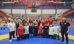 Erzincan Güreş Takımı Grup 2. Si Oldu
