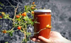 Erzincan'da Kuşburnu Marmelatı Zamanı