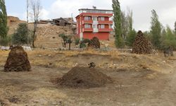 Erzincan’ın Köylerinde Doğal Yakıt "Tezek" Hazırlığı
