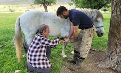 Kemaliye’nin son nalbant ustası yarım asırdır mesleğini sürdürüyor