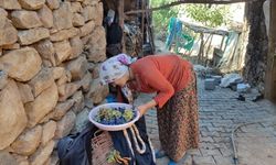 Uzun Kış Gecelerinde Tüketmek İçin Meyveler Kurutuluyor