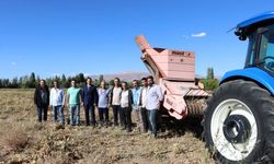 Erzincan’da Kuru Fasulye Hasadı Başladı