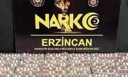 Yolcu Otobüsünde 6 Bin 335 Adet Uyuşturucu Hap Ele Geçirildi