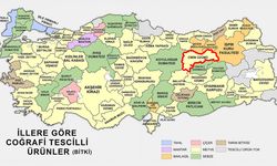Türk Patent’ten Coğrafi İşaretli Bitkiler Listesi: Erzincan’dan Cimin Üzümü