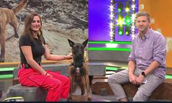 Erzincan’da Arama Kurtarma Köpeği Yetiştirilecek