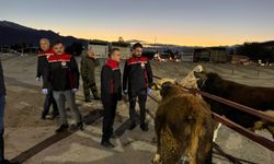 Erzincan Canlı Hayvan Pazarı Açıldı