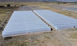 Erzincan’da Toplu Sera Bölgesi Projesi Tarımda Çığır Açacak