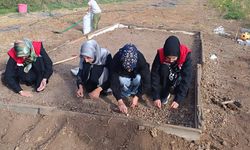 Erzincan’da Yeni Ürün İçin İlk Yumrular Toprakla Buluştu