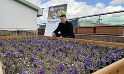 “Her Yer Permakültür Alanına Dönüşebilir”