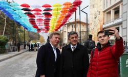 Rengârenk Şemsiyelerle Kaplanan Kütüphane Sokağı İlgi Görüyor