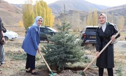 Tercan’da Fidanlar Toprakla Buluştu