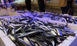 Trabzon’dan Gelen Taze Balıklar Erzincan’da İlgi Görüyor