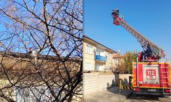 Çatıda Mahsur Kalan Kedi Mahalleliyi Seferber Etti