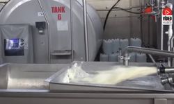 Süt Analiz Merkezi Üreticilere Bilimsel ve Teknik Destek Sağlıyor