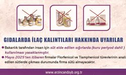 Süt Ürünlerinde İlaç Kullanımına Dikkat!