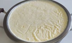 Erzincan Yoğurdu Bağışıklığı Güçlendiriyor