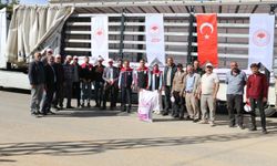 Kemaliye İlçesinde Kırmızı Mercimek Üretimi Yapılıyor