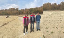 Kemaliye’de Salep Üretimi Başladı