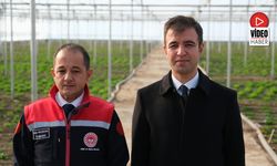 Erzincan Toplu Sera Bölgesinde Çalışmalar Hızla İlerliyor