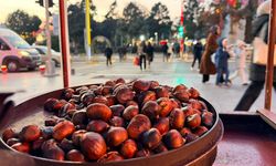 Kışın Şifa Kaynağı Kestane Tezgâhlarda Yerini Aldı