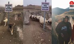 Şahintepe’de Köprü İhtiyacı Sadece Köylüler İçin Değil, Bölge Ekonomisi İçin de Hayati