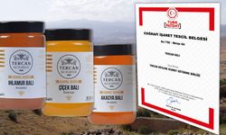 Erzincan’ın Yeni Tescilli Lezzeti: Tercan Balı