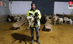 Erzincanlı Yetiştirici Yüzde 50 Hibe Desteğiyle 8 Milyon TL’lik Çiftlik Kurdu