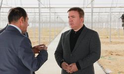 Erzincan’daki Seralarda 9 Ay Boyunca Üretim Yapılacak