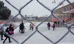 Erzincan güne karla uyandı