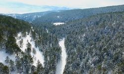 Erzincan’ın doğa harikası Dumanlı beyaza büründü